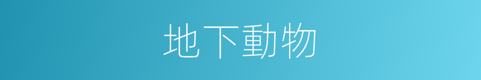 地下動物的同義詞
