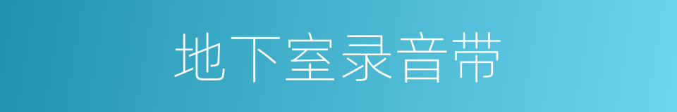 地下室录音带的同义词