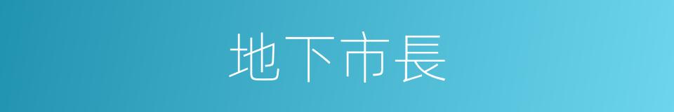 地下市長的同義詞