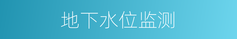 地下水位监测的同义词