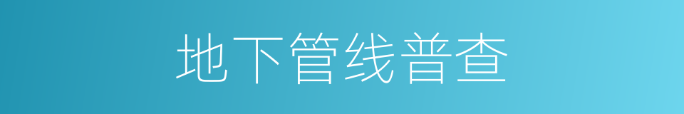 地下管线普查的同义词