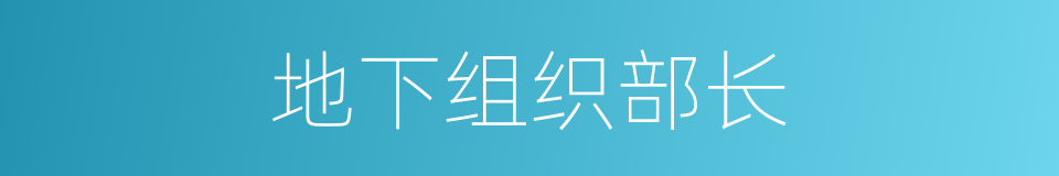 地下组织部长的同义词