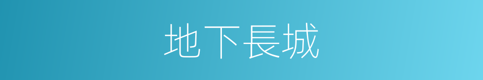 地下長城的同義詞
