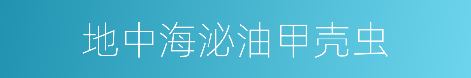 地中海泌油甲壳虫的同义词
