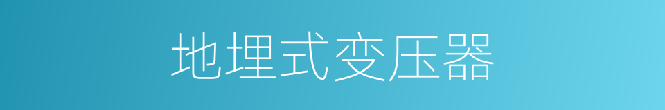 地埋式变压器的同义词