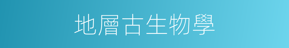 地層古生物學的同義詞