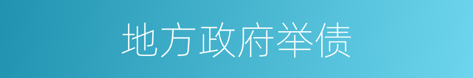 地方政府举债的同义词