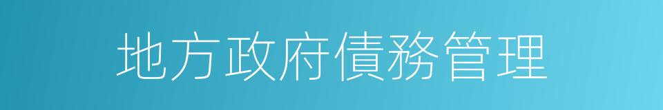 地方政府債務管理的同義詞