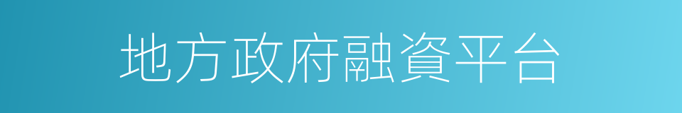 地方政府融資平台的同義詞