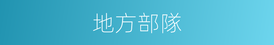 地方部隊的意思