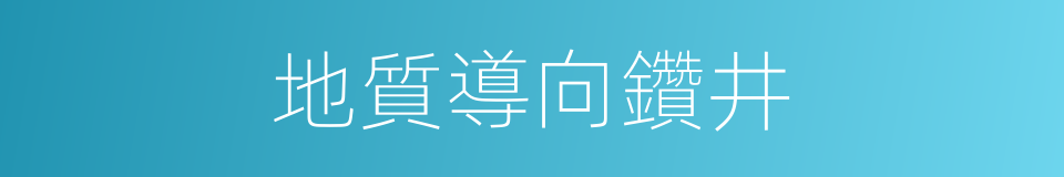 地質導向鑽井的同義詞