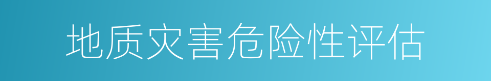 地质灾害危险性评估的同义词