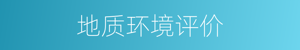 地质环境评价的同义词