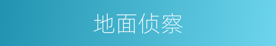 地面侦察的同义词