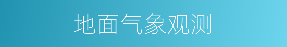 地面气象观测的同义词