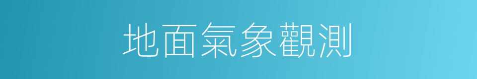 地面氣象觀測的同義詞