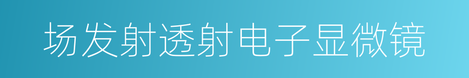 场发射透射电子显微镜的同义词