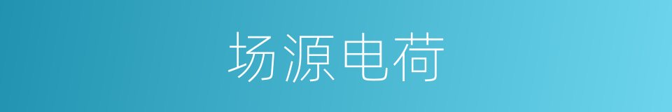 场源电荷的同义词