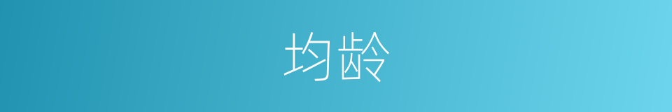 均龄的同义词