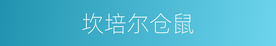 坎培尔仓鼠的同义词