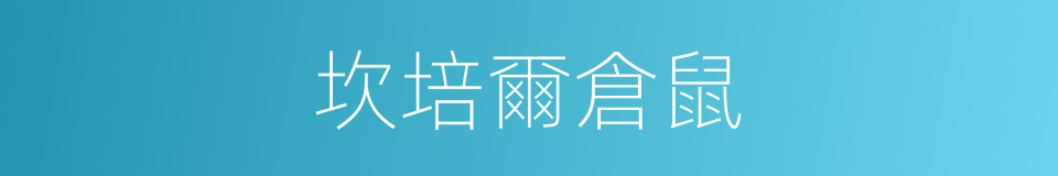 坎培爾倉鼠的同義詞