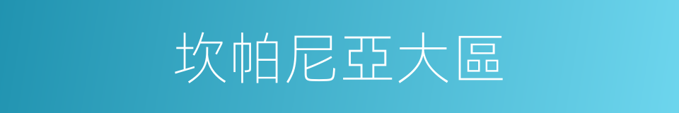 坎帕尼亞大區的同義詞