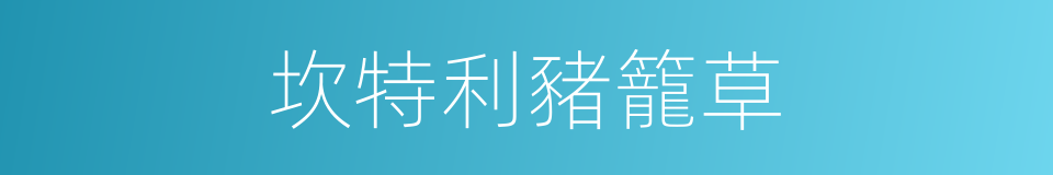 坎特利豬籠草的同義詞