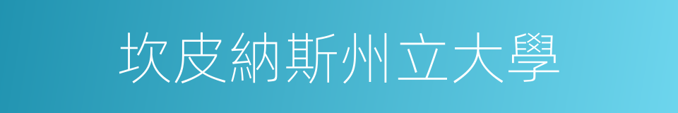 坎皮納斯州立大學的同義詞