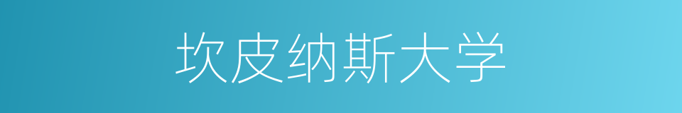 坎皮纳斯大学的同义词