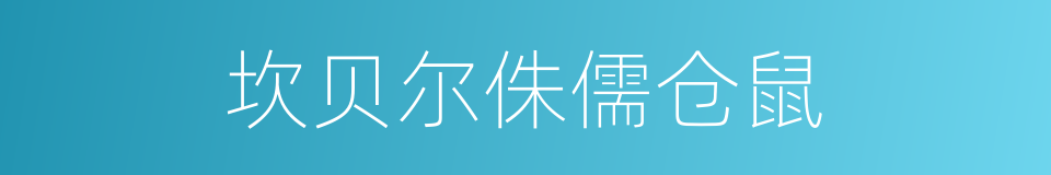 坎贝尔侏儒仓鼠的同义词