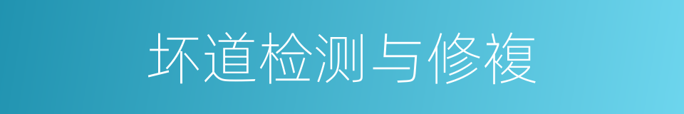 坏道检测与修複的同义词