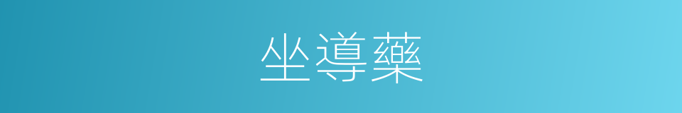 坐導藥的同義詞