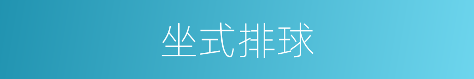 坐式排球的同义词