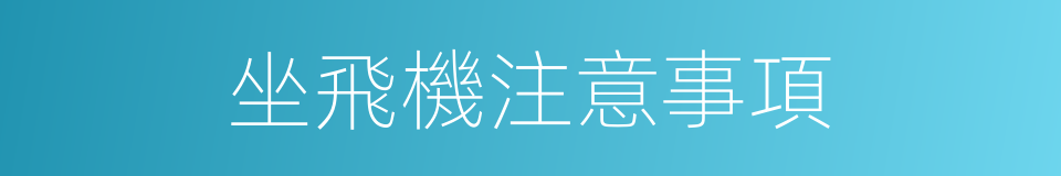 坐飛機注意事項的同義詞