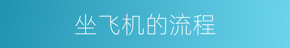 坐飞机的流程的同义词