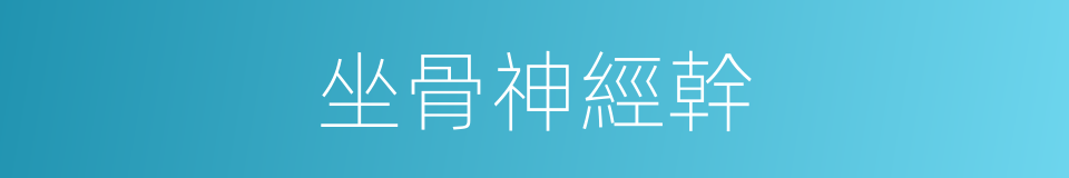 坐骨神經幹的同義詞