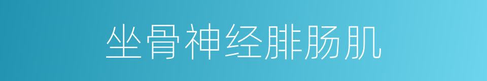 坐骨神经腓肠肌的同义词