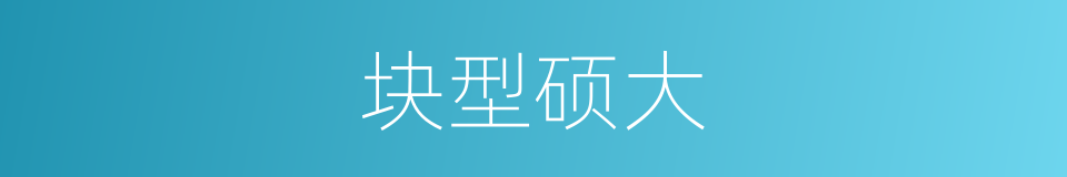 块型硕大的同义词