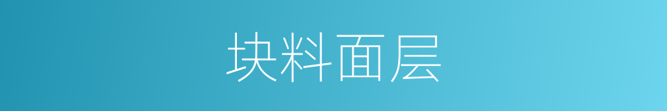 块料面层的同义词
