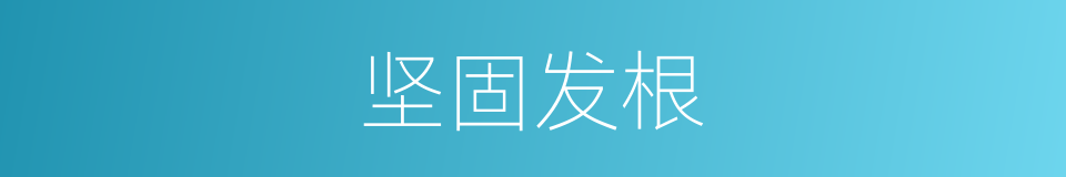 坚固发根的同义词