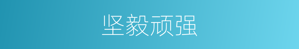 坚毅顽强的同义词