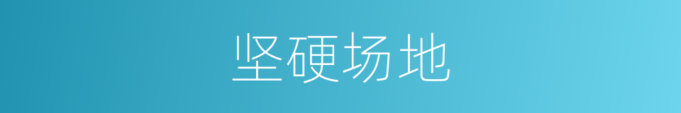 坚硬场地的同义词