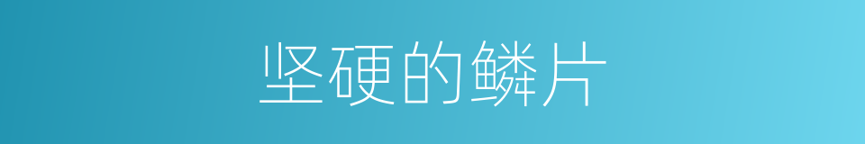 坚硬的鳞片的同义词