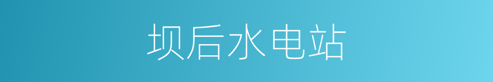 坝后水电站的同义词