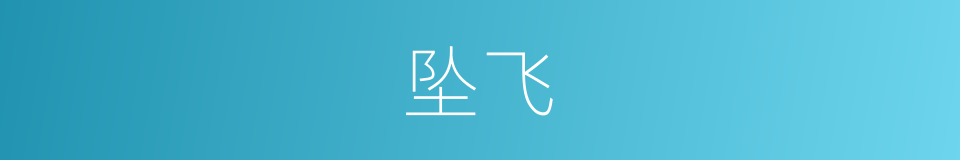 坠飞的同义词