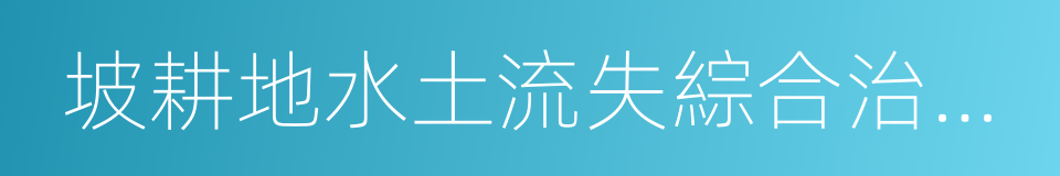 坡耕地水土流失綜合治理工程的同義詞