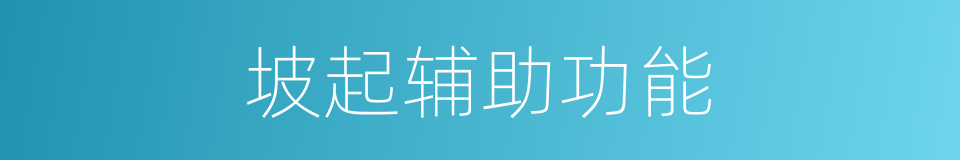 坡起辅助功能的同义词