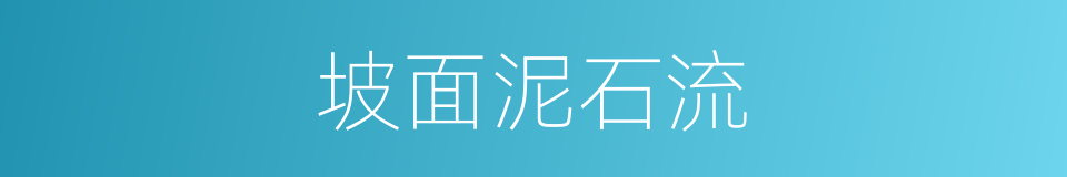 坡面泥石流的同义词