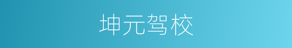 坤元驾校的同义词