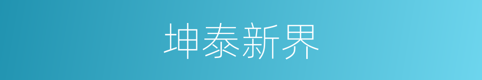 坤泰新界的同义词